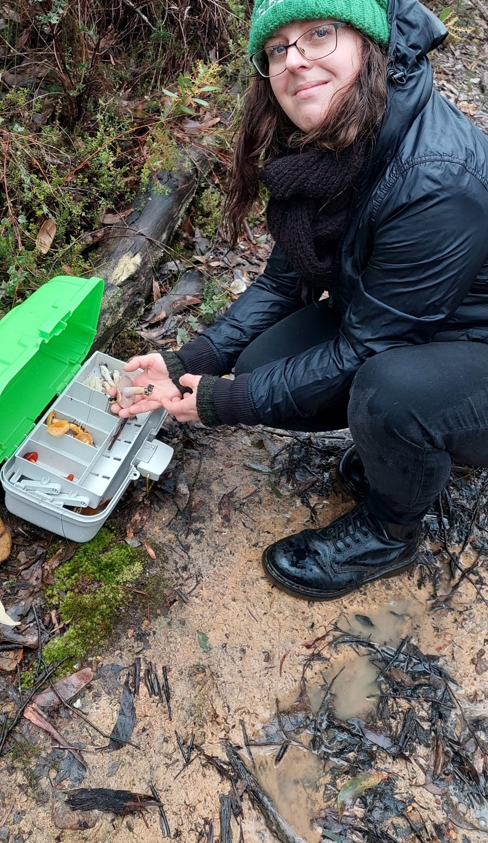 Funding for fungi post image