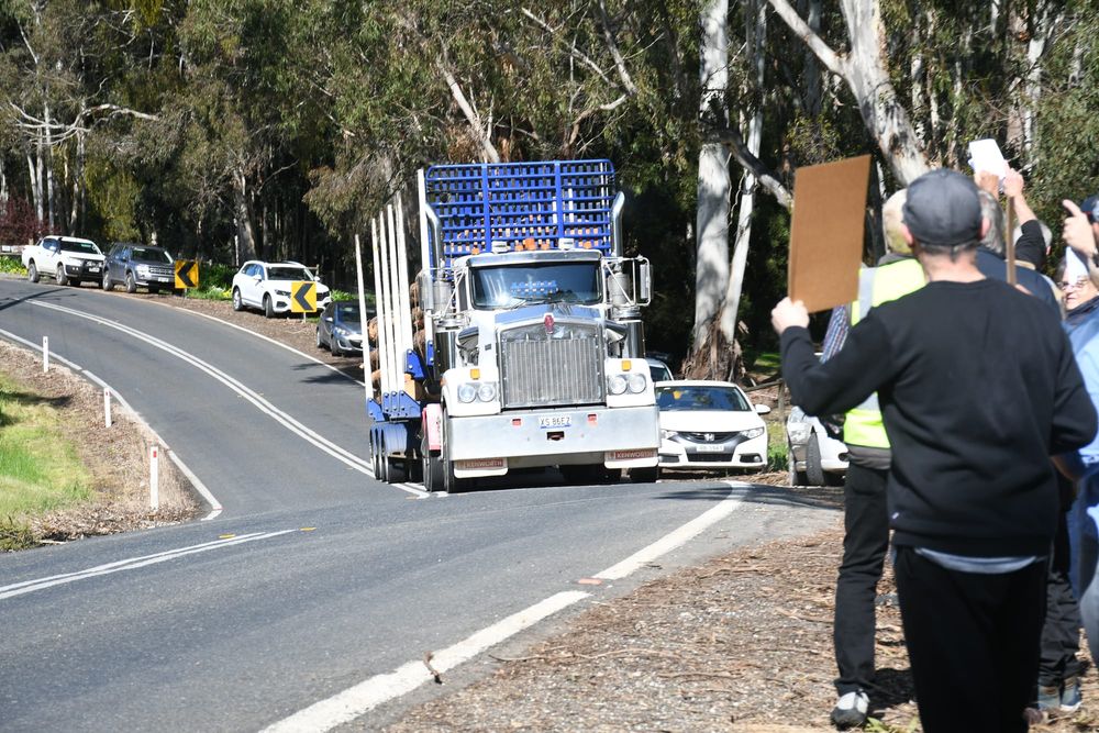 Truck silence: Government quiet on consultation details post image