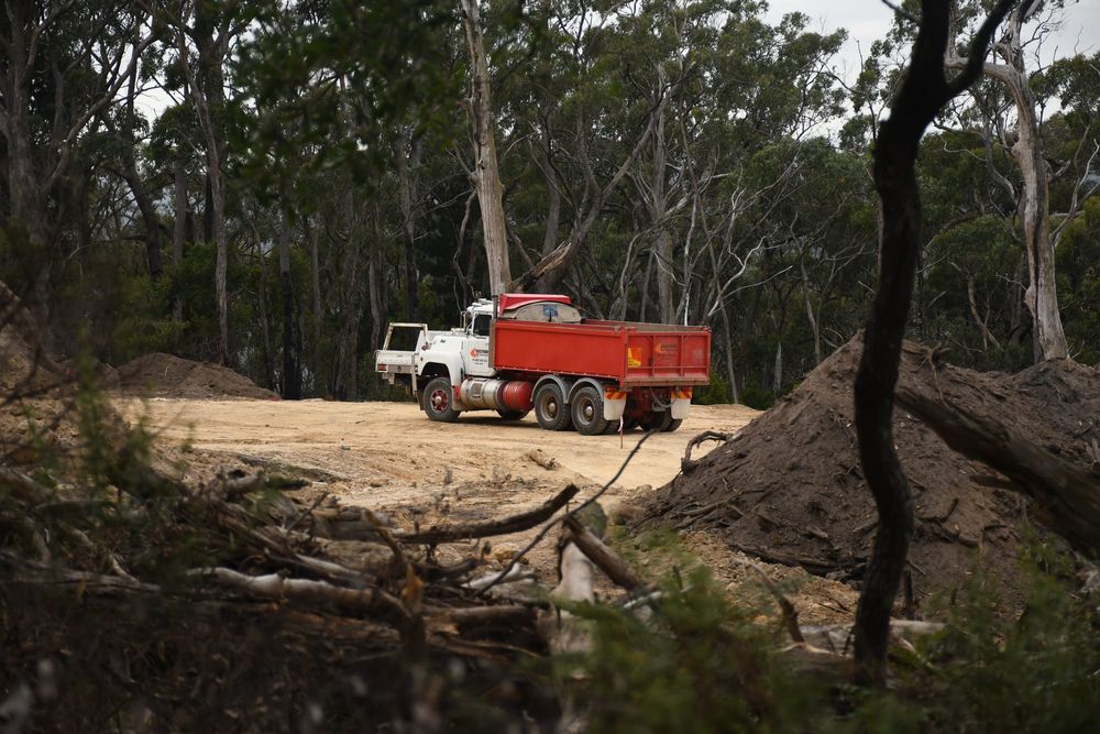 Enforcement notice issued over tree clearance post image