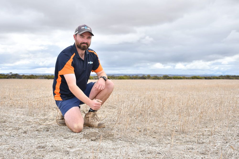 Plea for rain: farmers dry seed as drought continues post image
