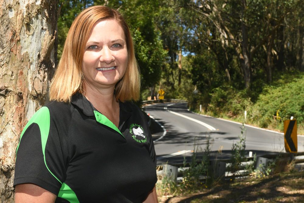 New trial could pave the way to reduce freeway wildlife deaths post image