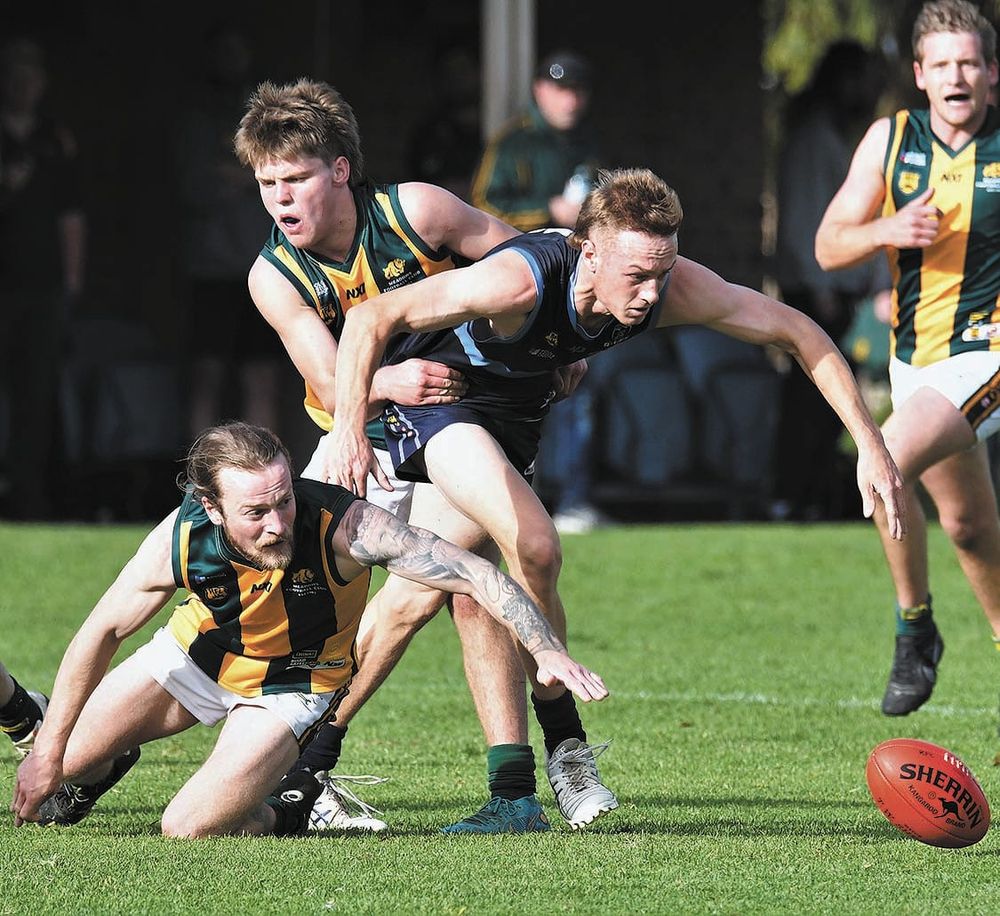 Lions on the improve post image