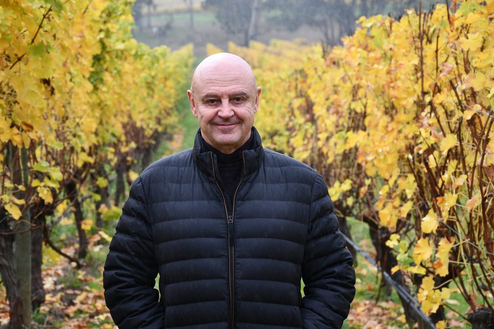 Hills growers welcome trade deal post image