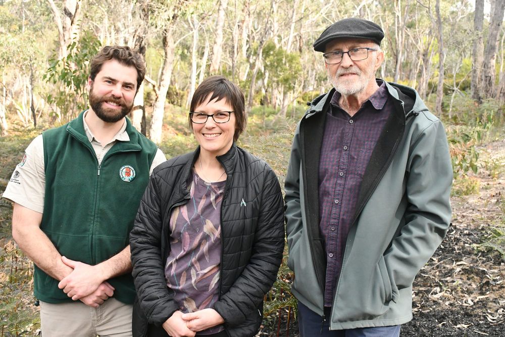 Plan to resurrect endangered herb post image