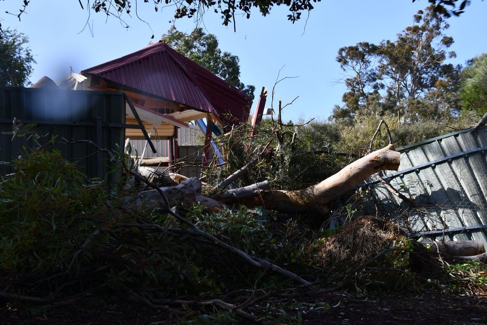 Strong winds batter Strathalbyn post image