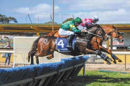 Jumps race battle could continue after committee re-elected post image