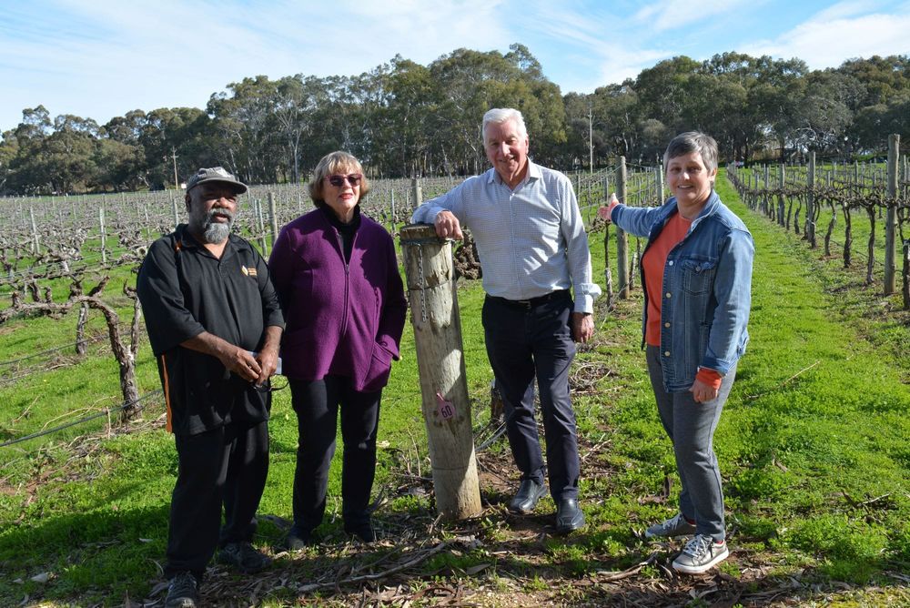 Wine trail for Langhorne Creek post image