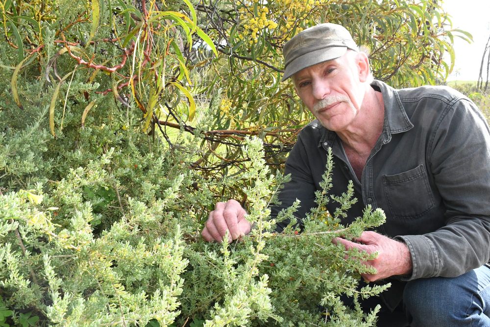 $1.3m granted for Kanmantoo landscape restoration post image