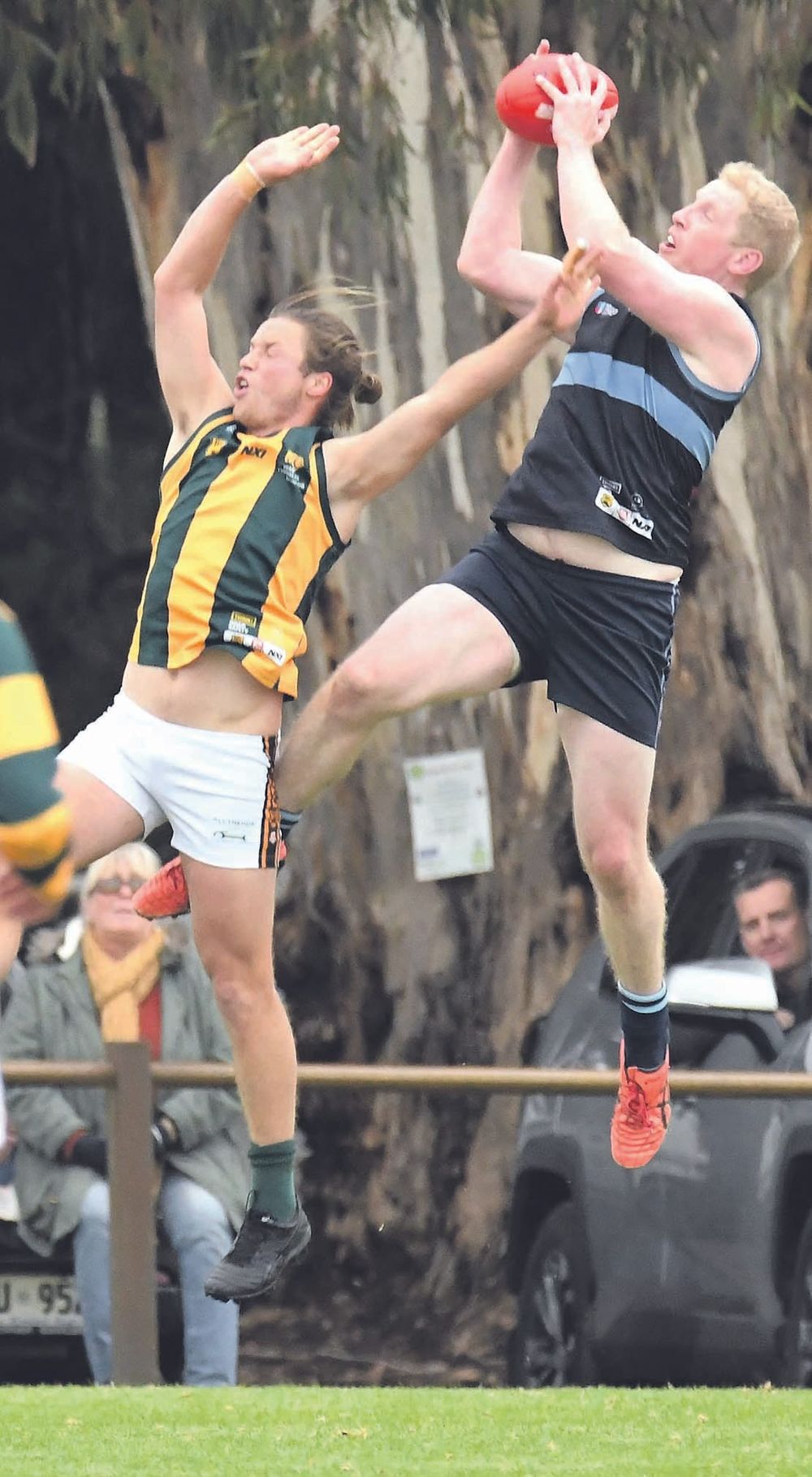 Dose of the Blues post image