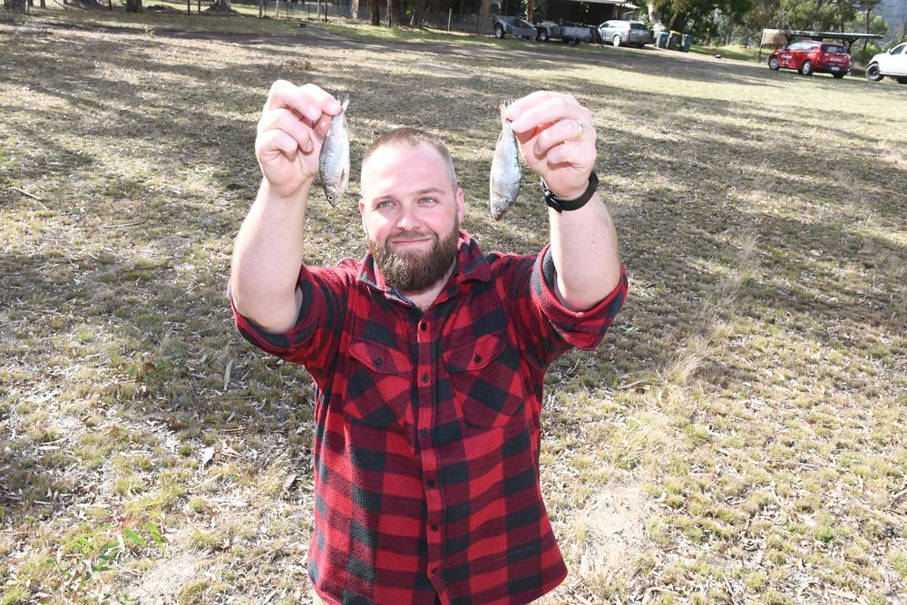 Falling fish stir up a storm post image