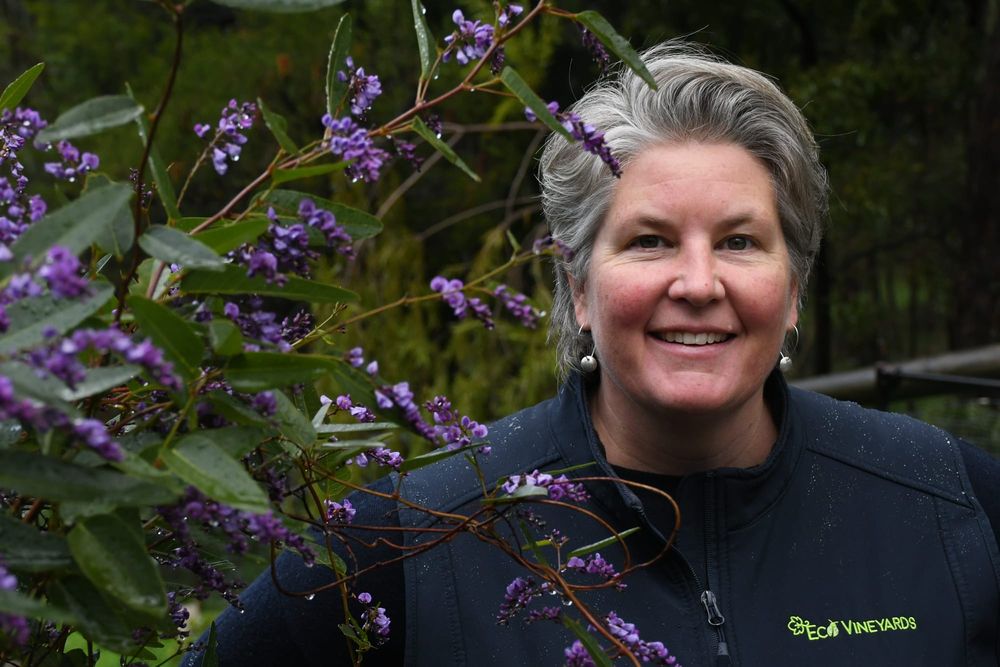 Viticulturist in the running for national innovation award post image