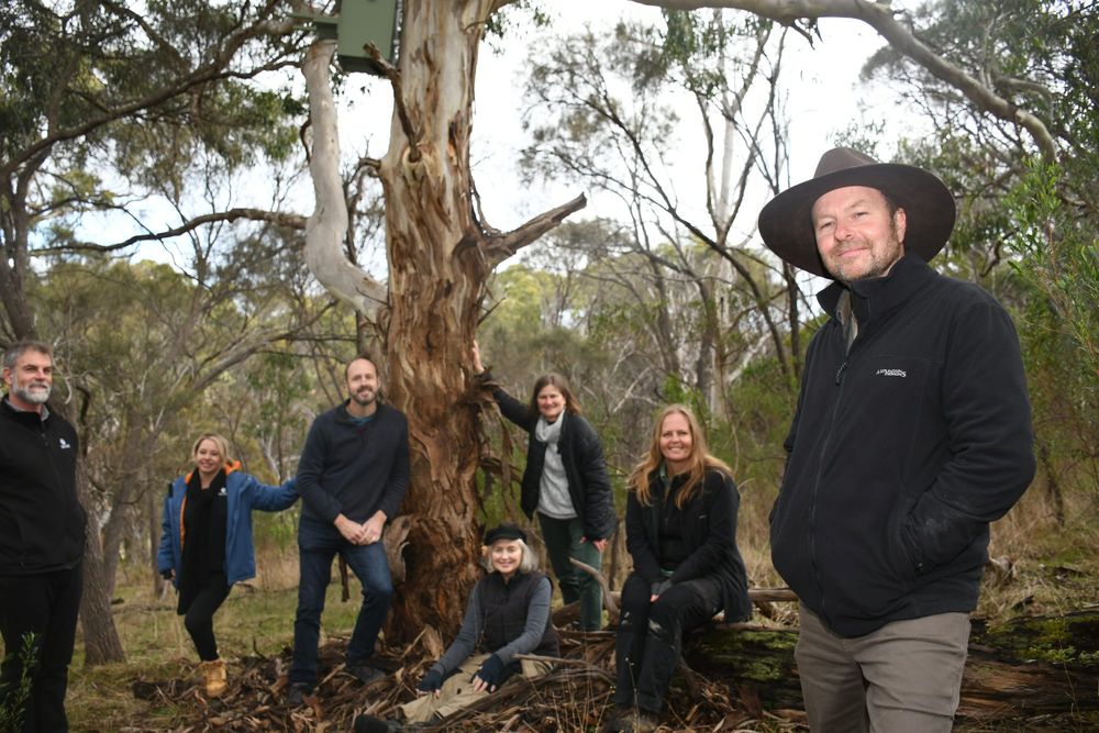 Boxes provide new homes as Mt Barker grows post image