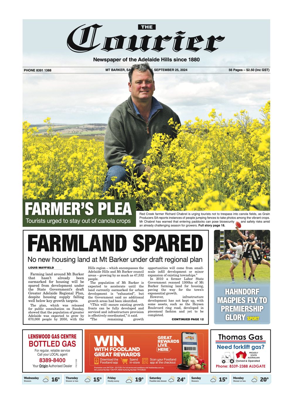 The Courier, September 25, 2024 post image