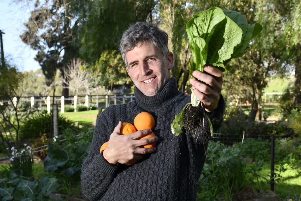 Cultivating food security post image