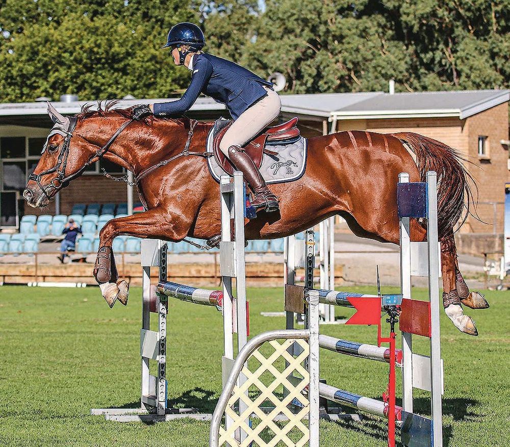 Jumping to honors post image