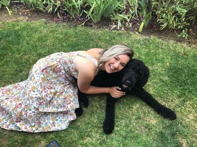 National day to recognise 40 years of training dogs post image