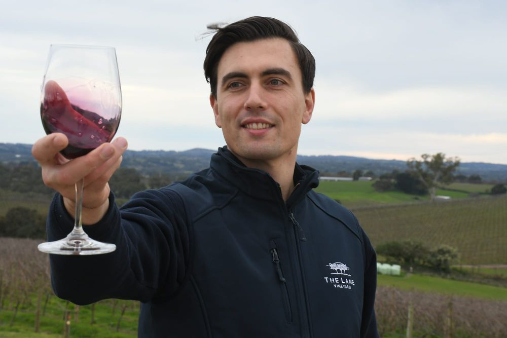 Hills wineries winners at national event post image