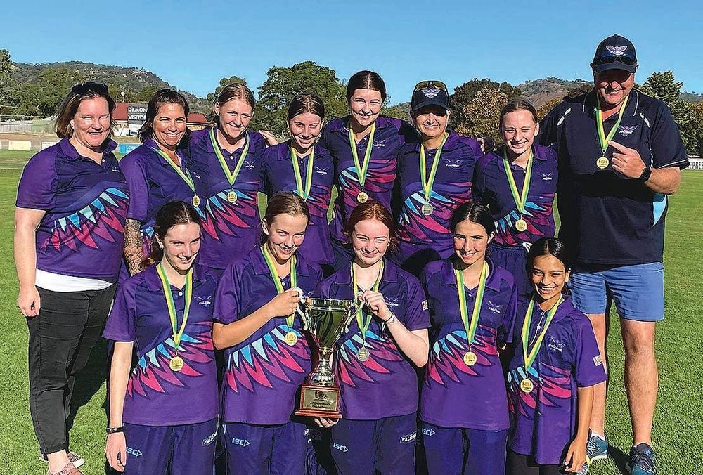 Falcons fly high post image