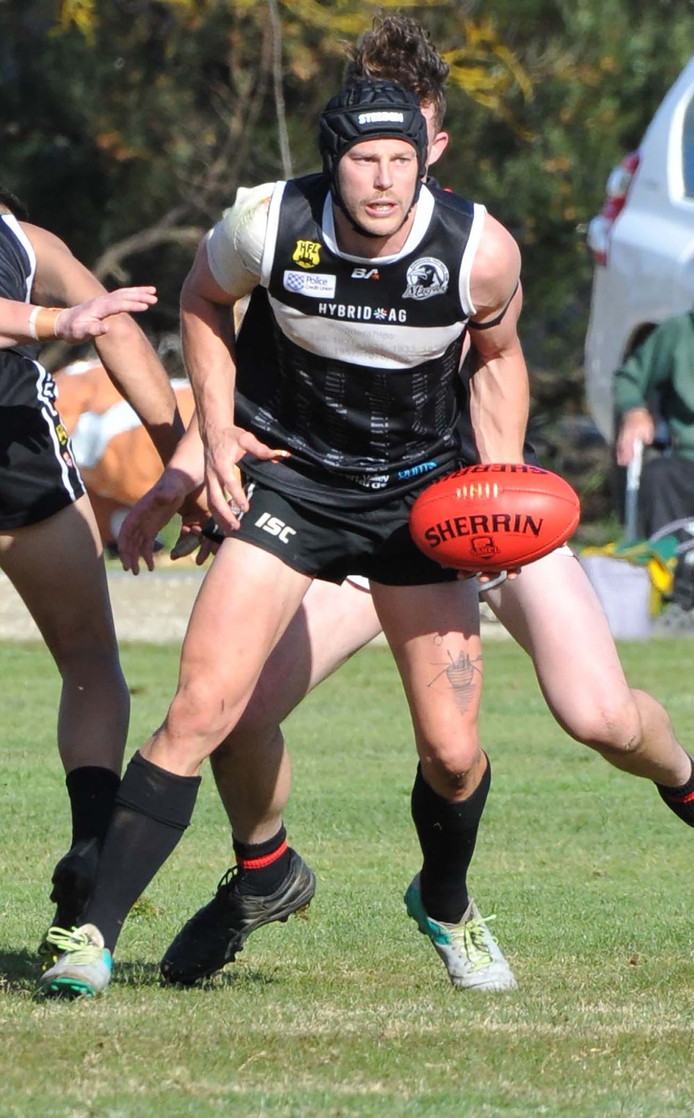 Medal honors post image