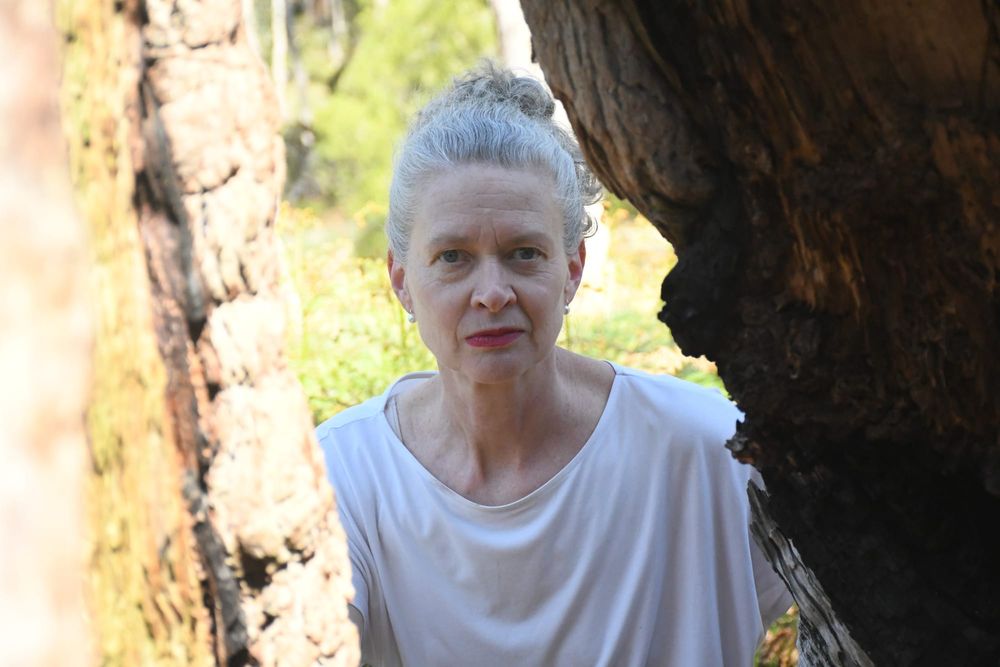 Hills tree loss a growing concern post image