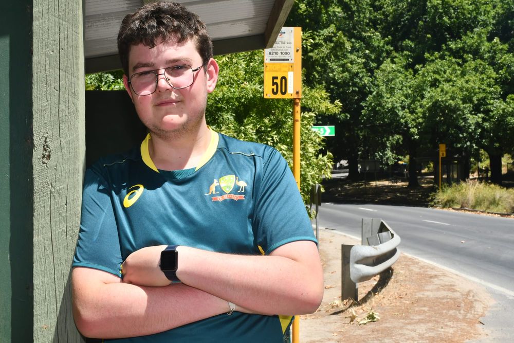 Call for more buses post image