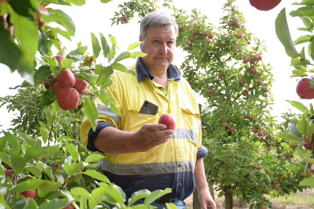 Growers welcome positive season, but challenges remain post image