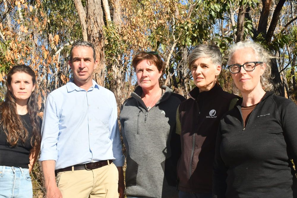 Fears for trees as drought continues post image