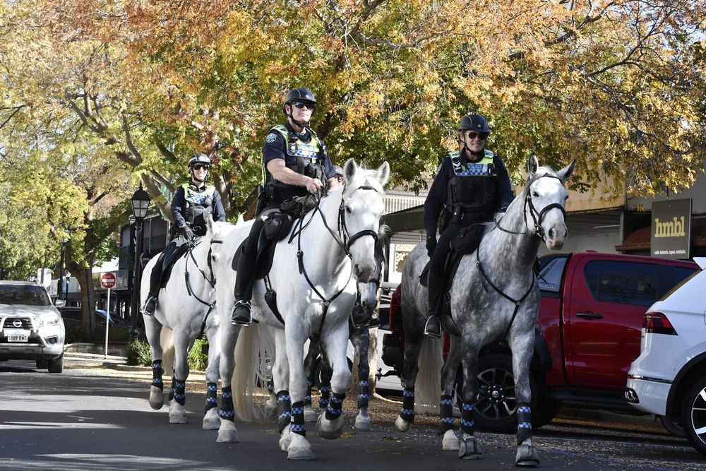 Police horses trot into Mt Barker post image