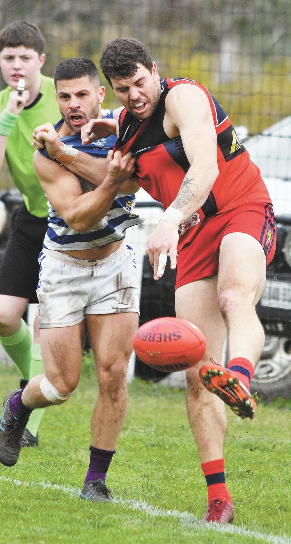 Purple reign for Barkeroos post image