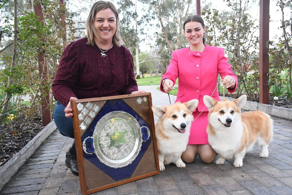 Queen's corgi connection post image