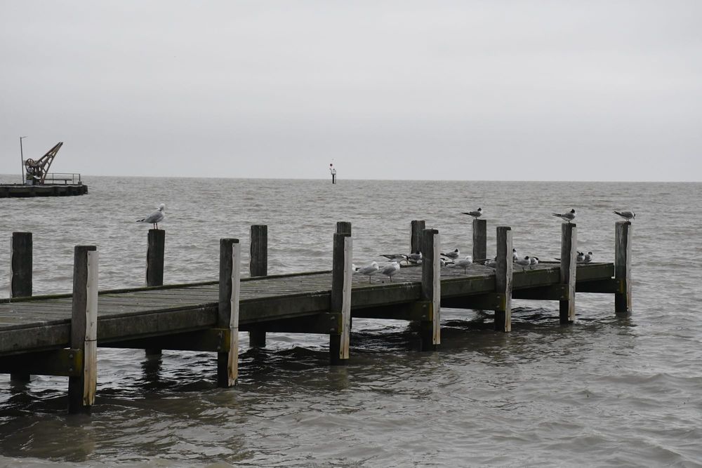 Flooding not expected at Milang, but residents urged to be vigilant post image