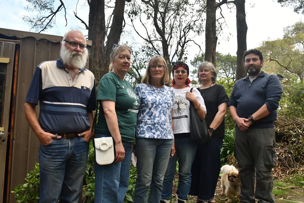 Residents concerned about habitat loss as trees face the axe post image