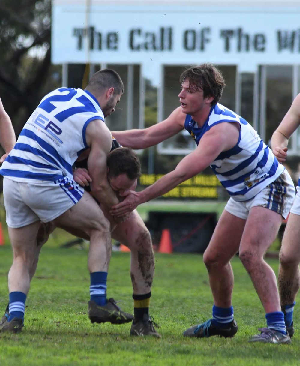 Tigers advance ... Woods axed post image