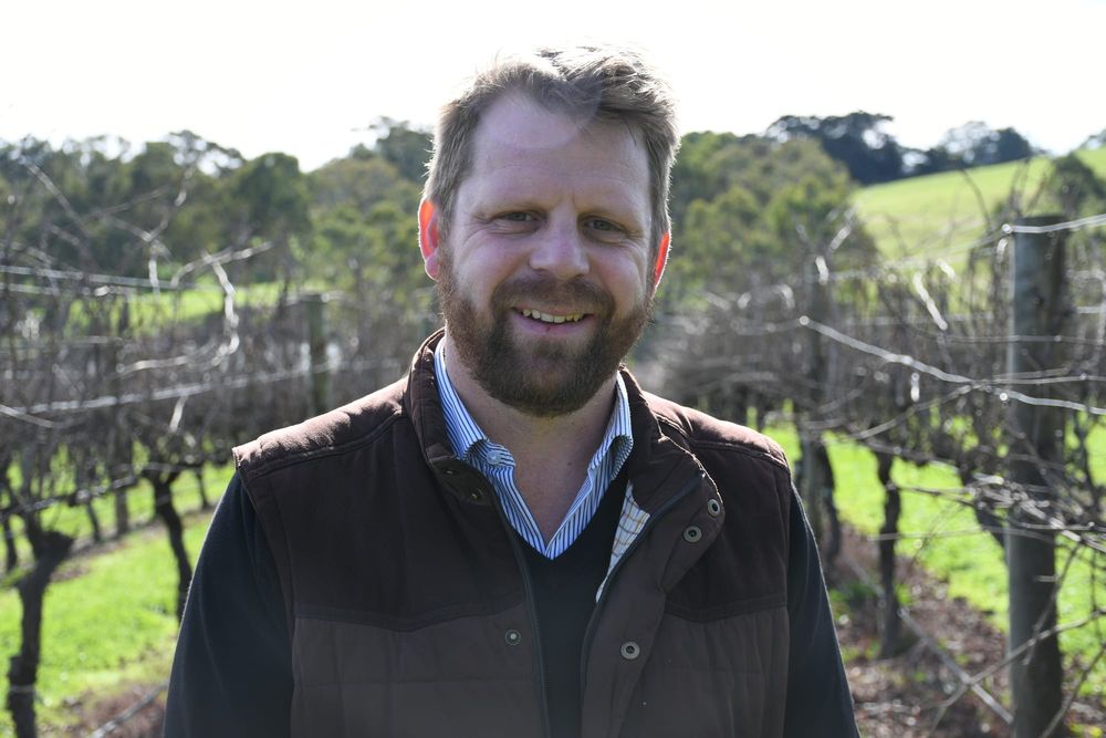 Major rise in value for Hills white wine grapes post image