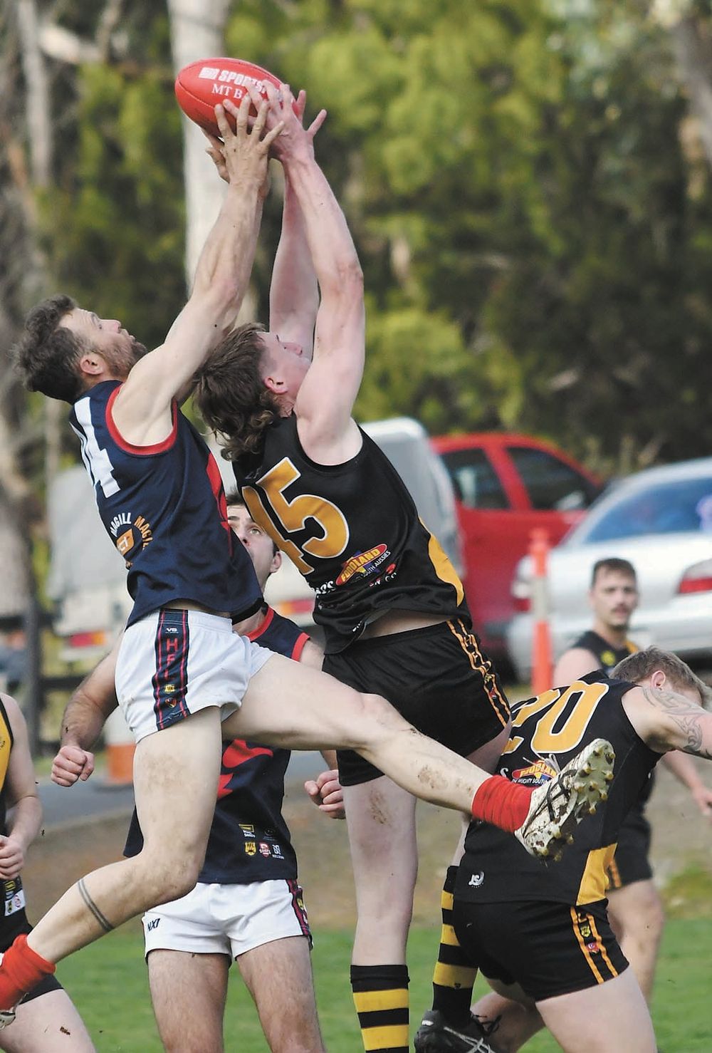 Grand feeling for Tigers post image