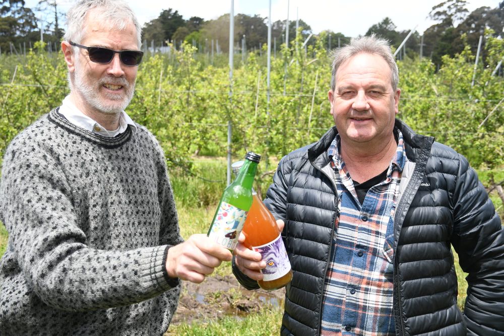 Hills cider shines on national stage post image