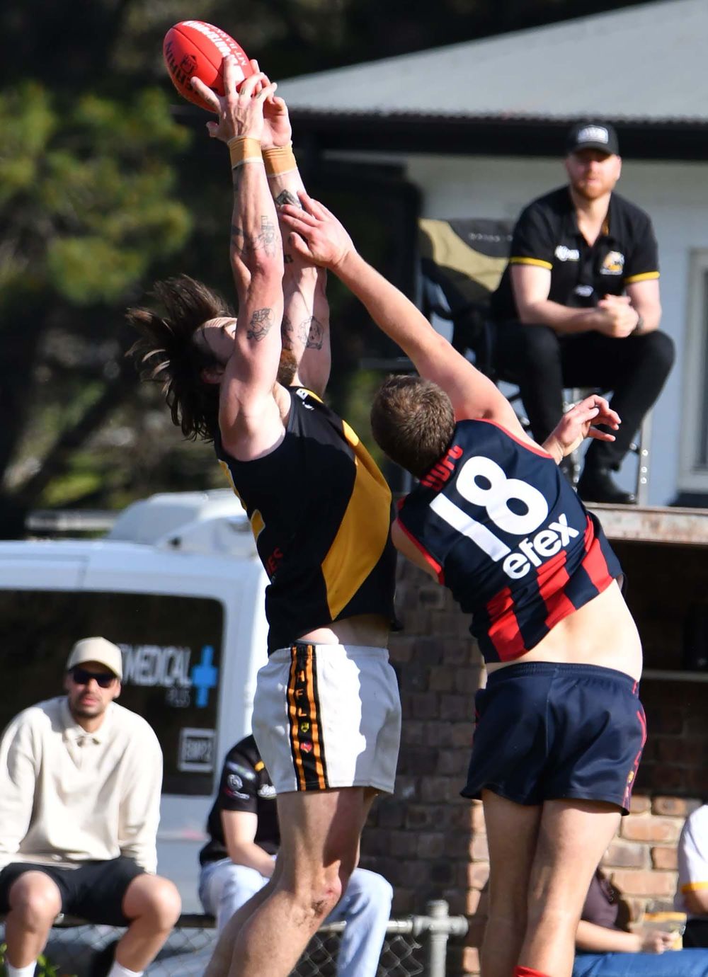 Tigers into decider post image