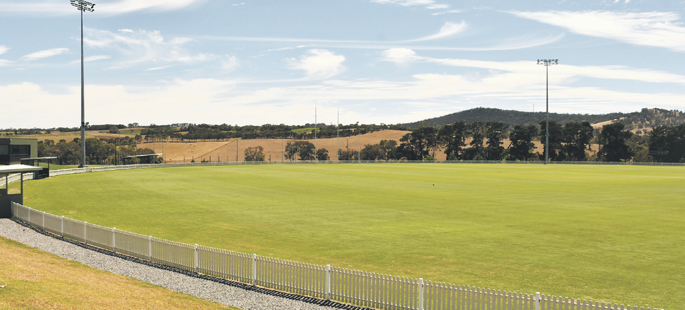 Cricket in to bat at Summit post image