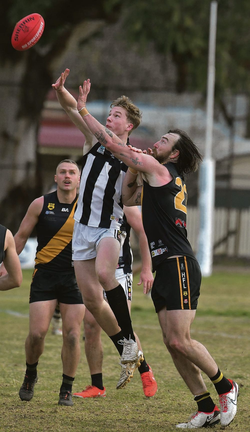 Dixon a key performer post image