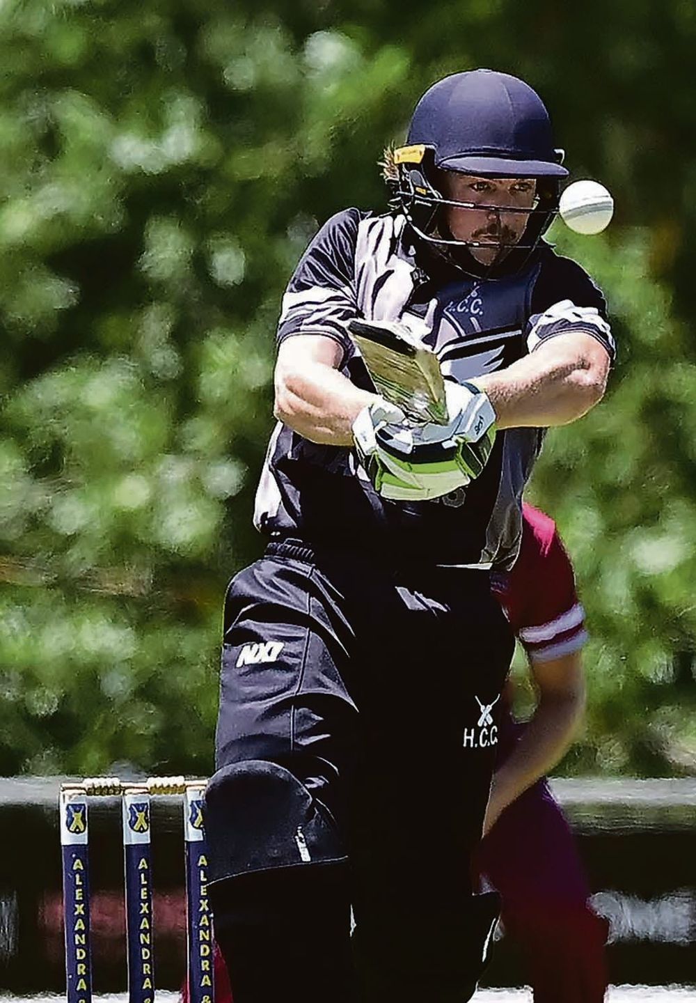 Time to wield the willow post image