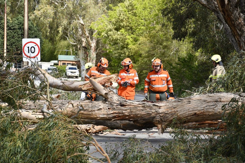 Disaster zone: Insurance claim data show Hills towns among worst affected by weather disasters post image