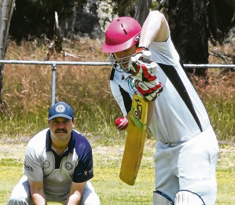 Skunks smell sweet post image