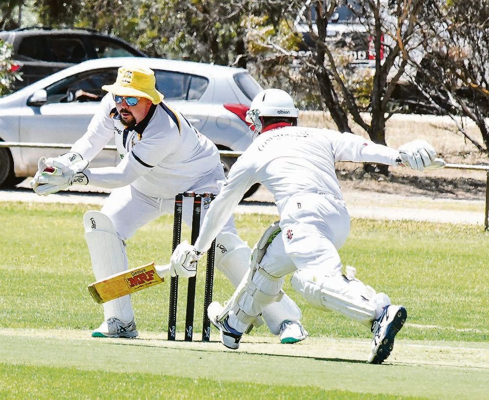 Cobras dangerous post image