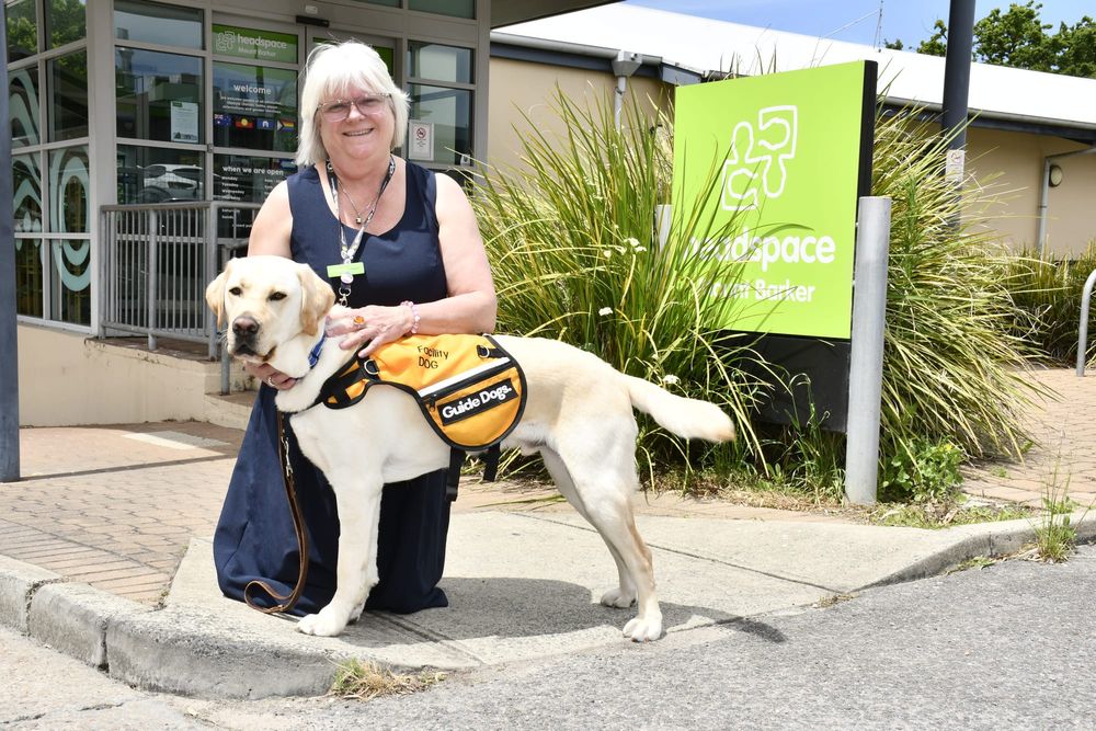 Support dog joins headspace post image