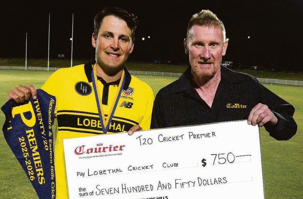 Yellow Tigers take crown post image