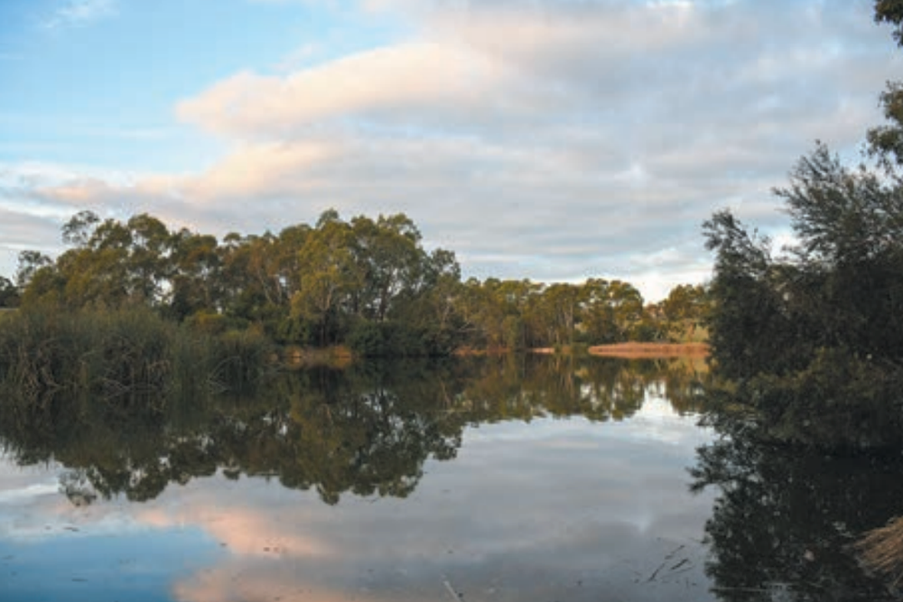 Laratinga Wetlands to remain 'major' asset post image