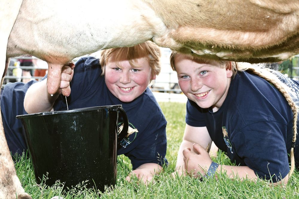 Meadows fair has a grassroots focus post image