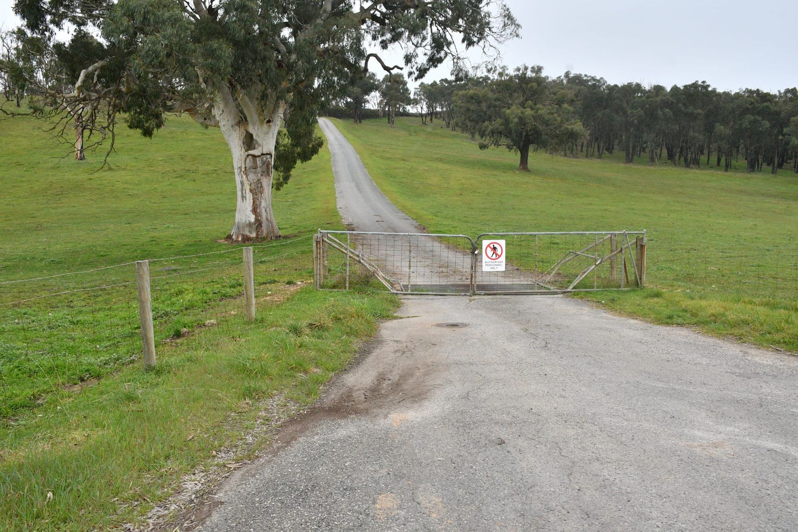 Young man killed in workplace accident on Hills property post image