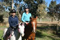 Fuel prices prompt behavior changes post image