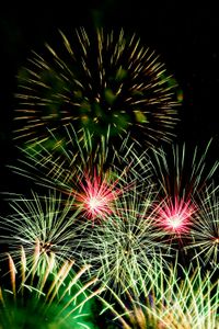 Council pivots on firework consultation approach post image